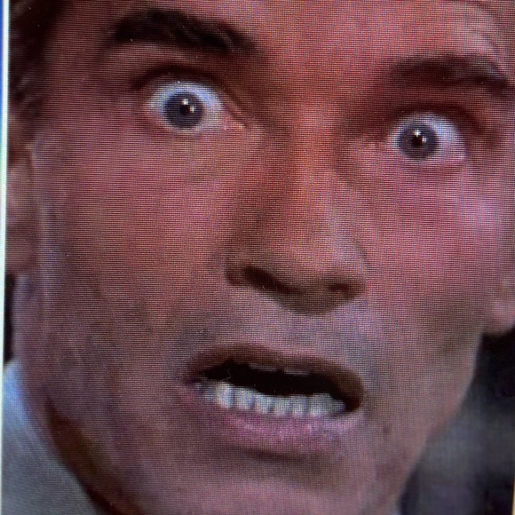 Meet your Posher, Whitney - Picture 1 of 1